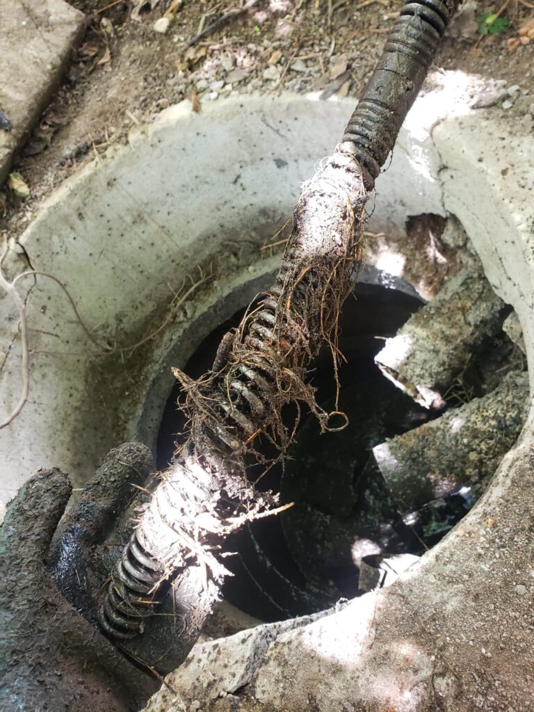 WhatsApp Image 2025-03-12 at 11.27.17 AM (1)